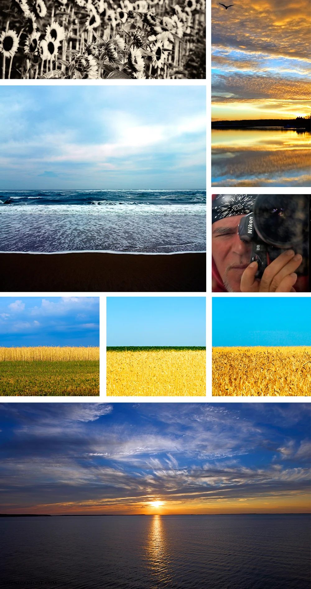 Daniel Gonzalez, Photographer