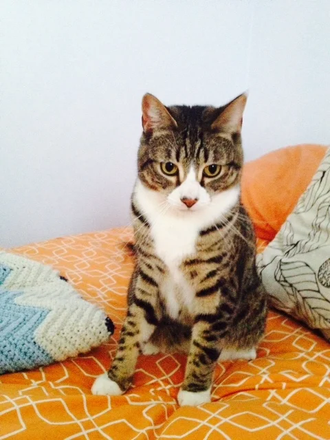Max