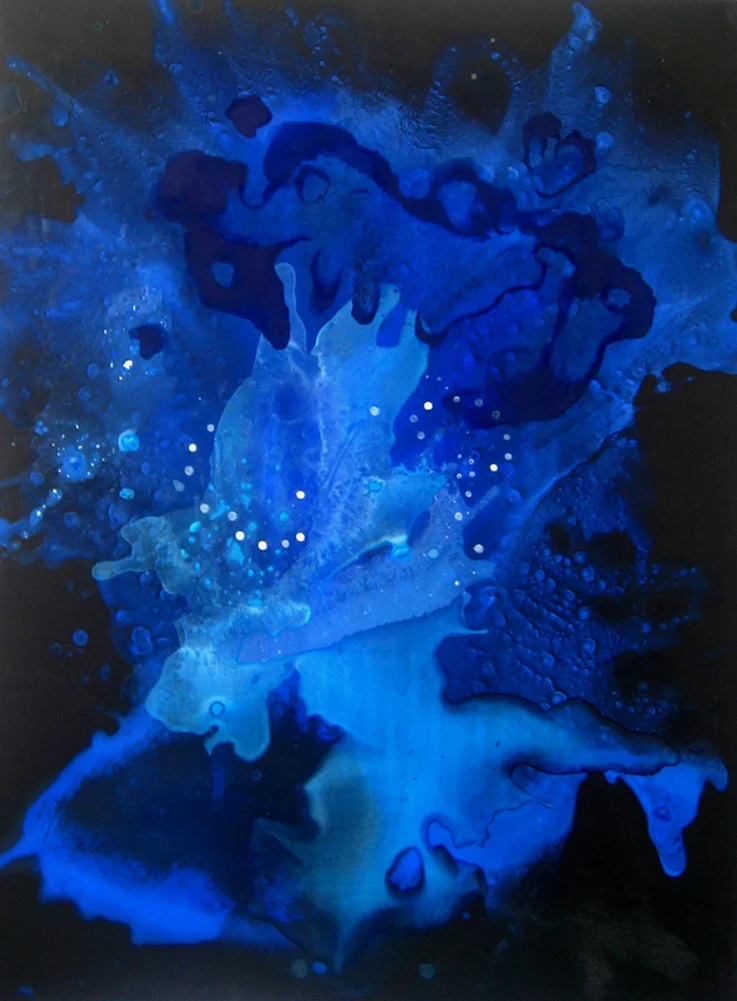 Plunge by Andra Samelson 