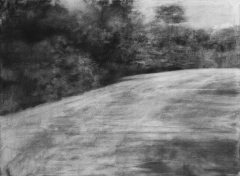  that place where we met that time&nbsp;&nbsp; 2014&nbsp;&nbsp; charcoal on paper&nbsp;&nbsp; 29x42"    