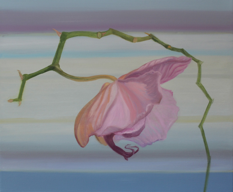 Title: #31 Orchid Series, 2012 -2015" Media: Oil on Canvas Year: 2012 Dimensions: 20 x 24 inches