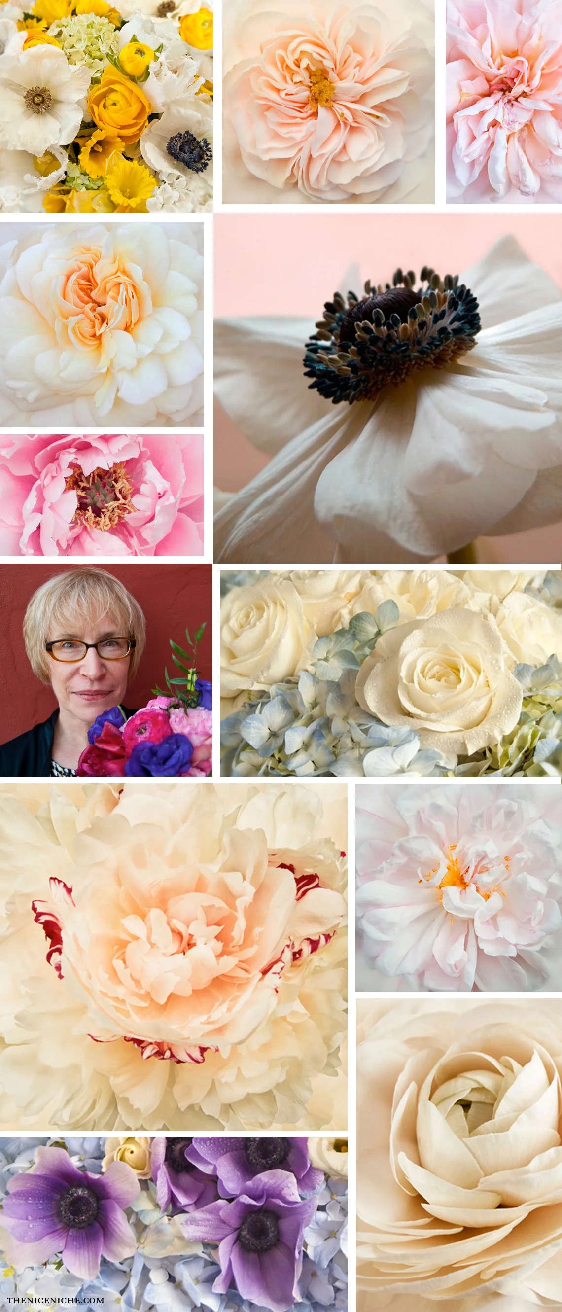 Rebecca Swanson, Portraits of Nature