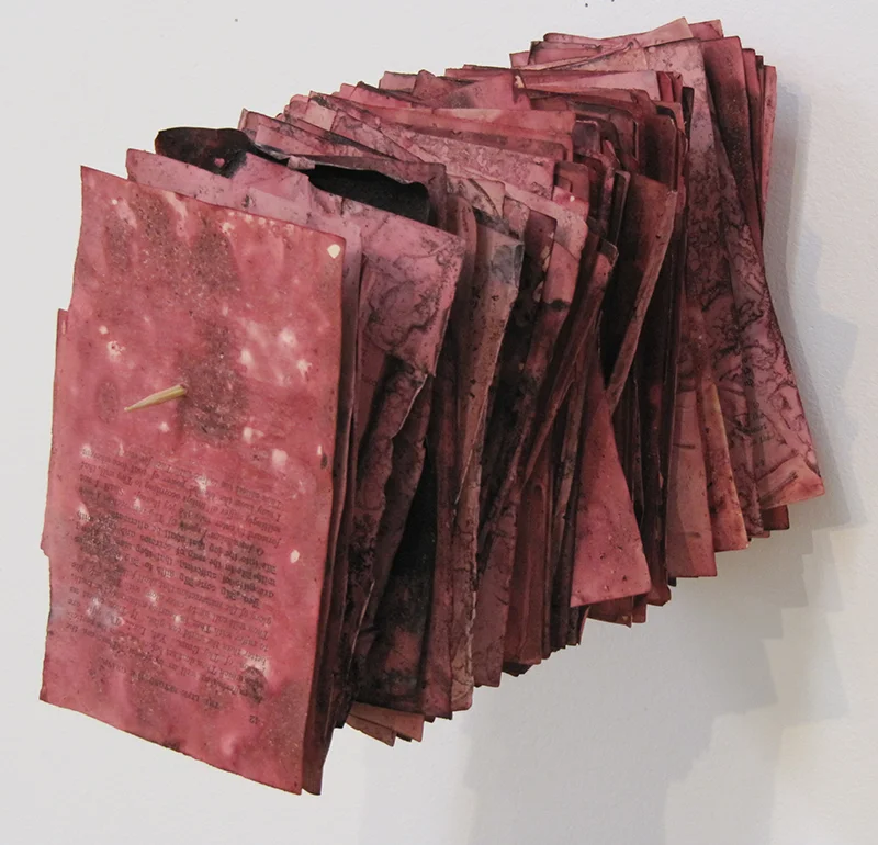 image from WORD: Florilegium, 2015, cochineal dyed book pages, skewer