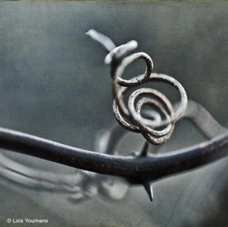 Tendril by Lois Youmans