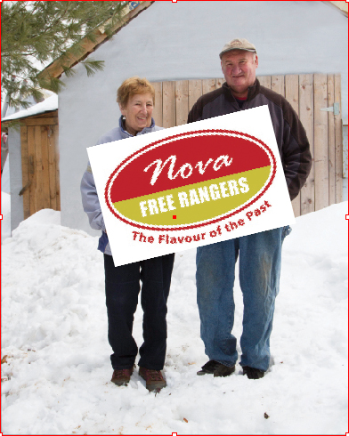 Barbara and Brian Aaron have started a hatchery in Lunenburg County, N.S., to supply Nova Brown broiler chicks, specifically targeting free-range producers. (David Collins photo)