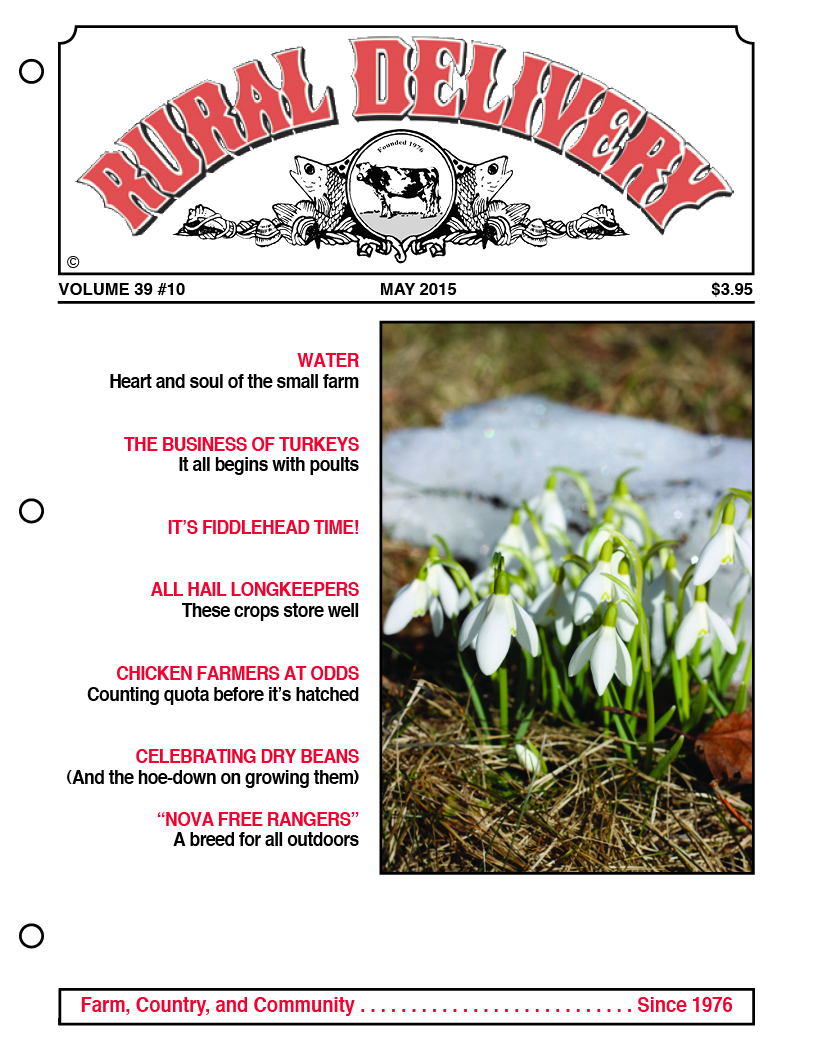 RDMAY2015cover.jpg