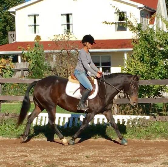 Having fun with a horse (or pony) means something different to each one of us. For me it is a combination of caring for and developing a bond with an animal, exercise, and setting and achieving goals. Piper is showing off her nice big trot, a gait much improved since last year. (Sydney Caldwell photo)