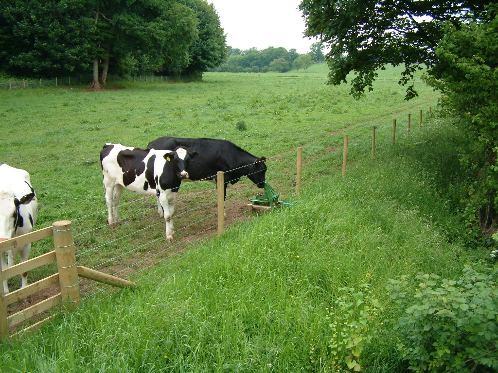 A nose pump is one way to water livestock while excluding them from watercourses, avoiding water contamination by manure and soil erosion in riparian areas. (Nafferton Ecological Farming Group photo)