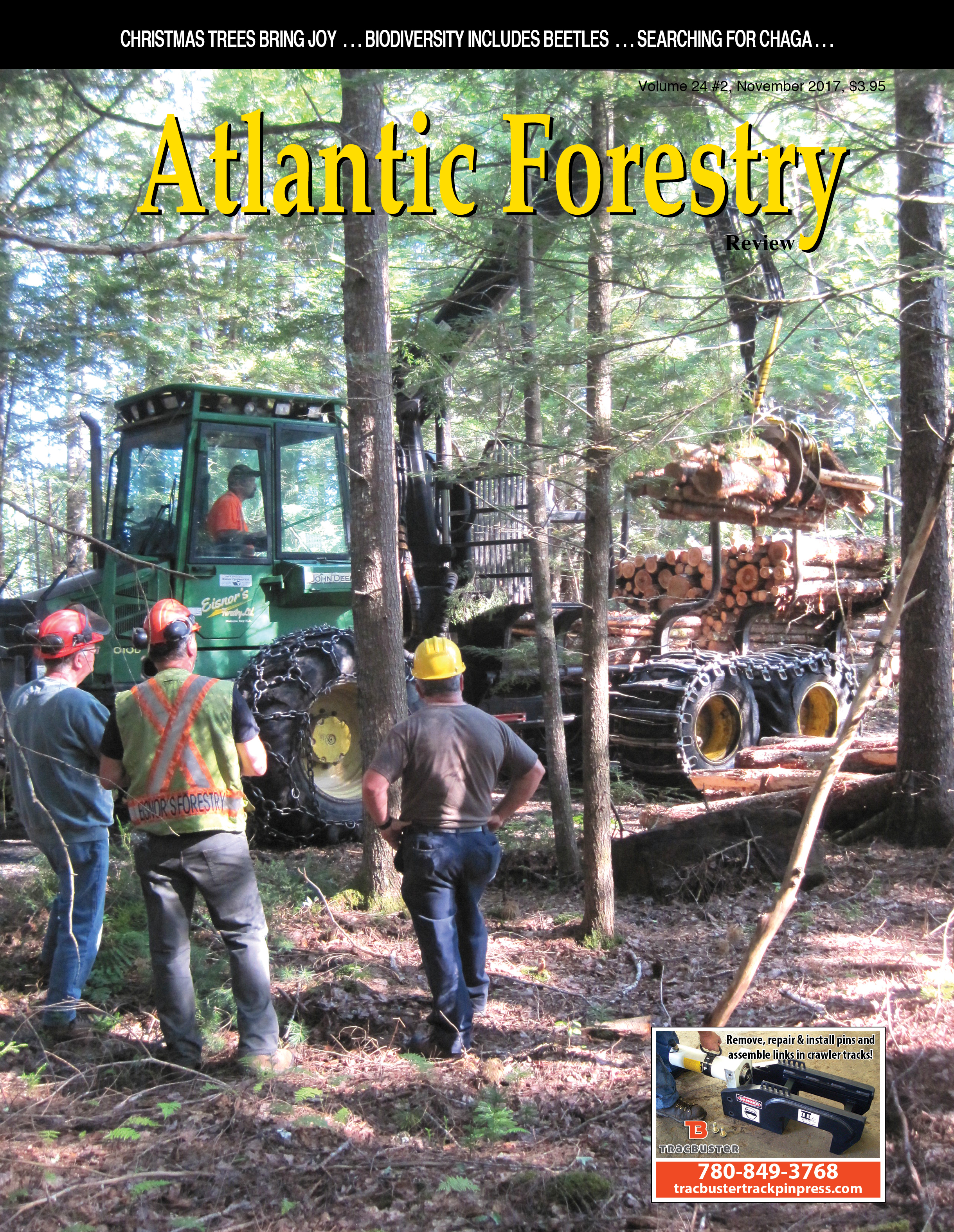 AtlanticForestry.jpg