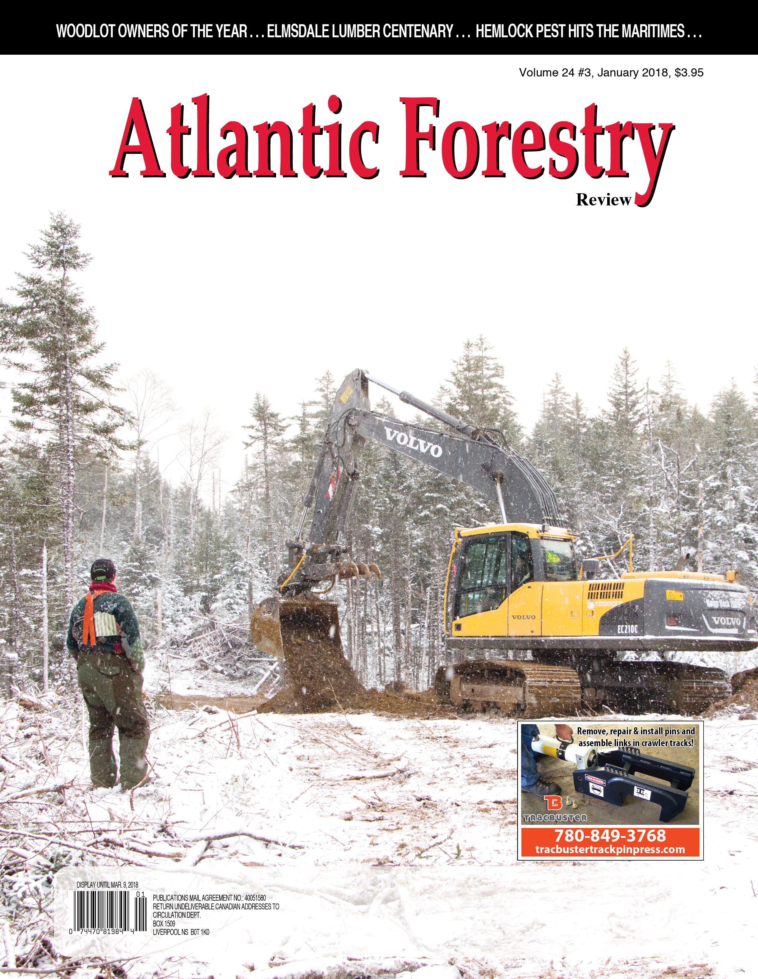 AtlanticForestry.jpg