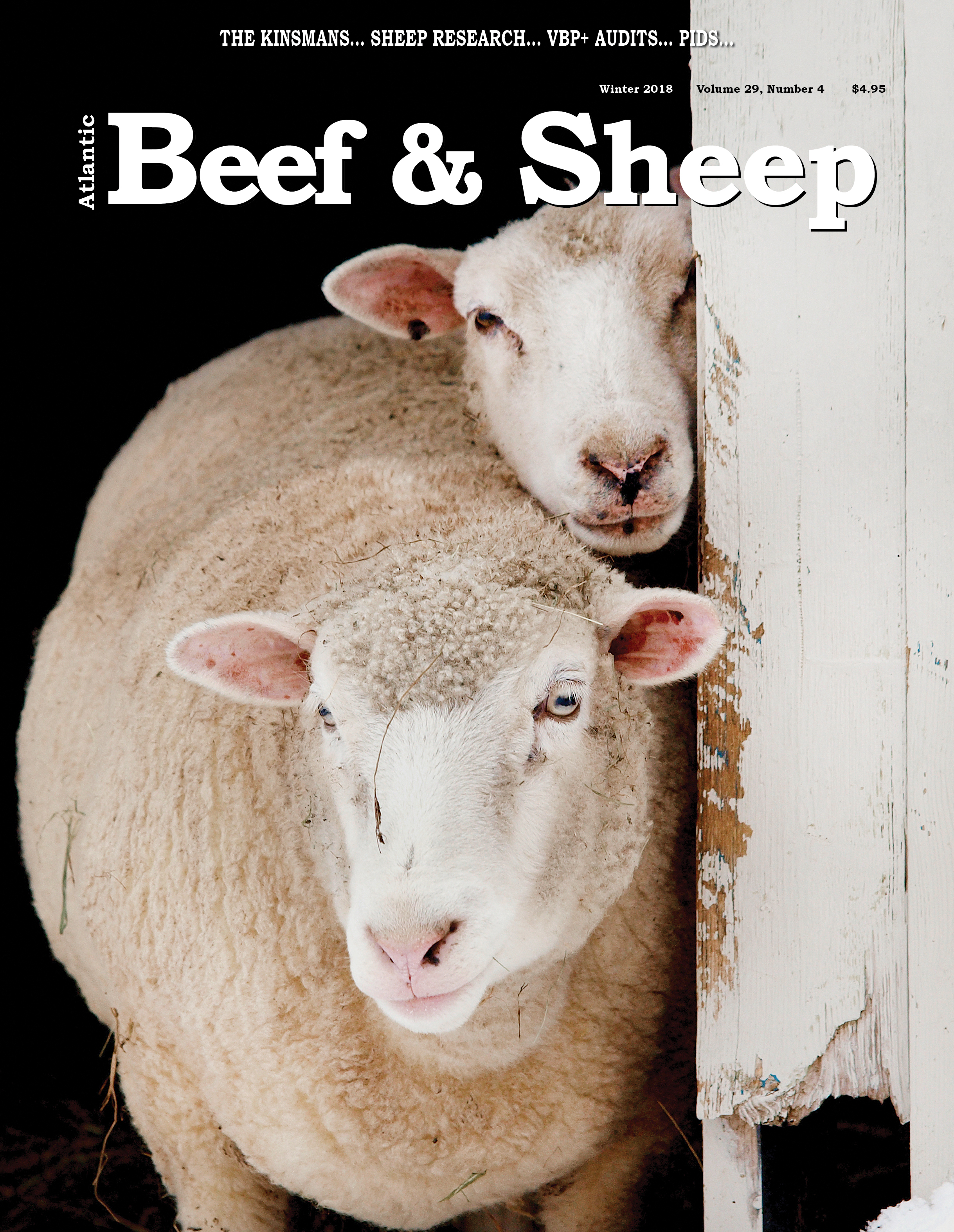 AtlanticBeef&Sheep.jpg