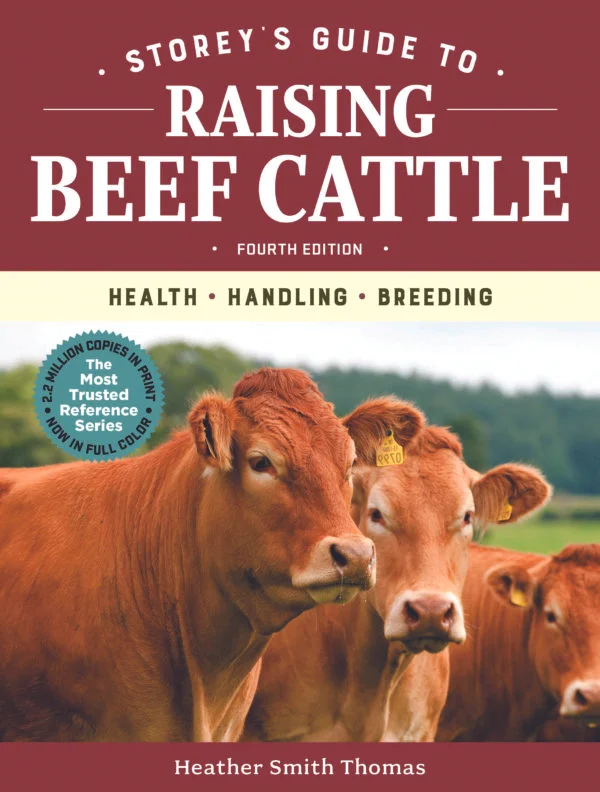 Raising Beef Cattle.jpg