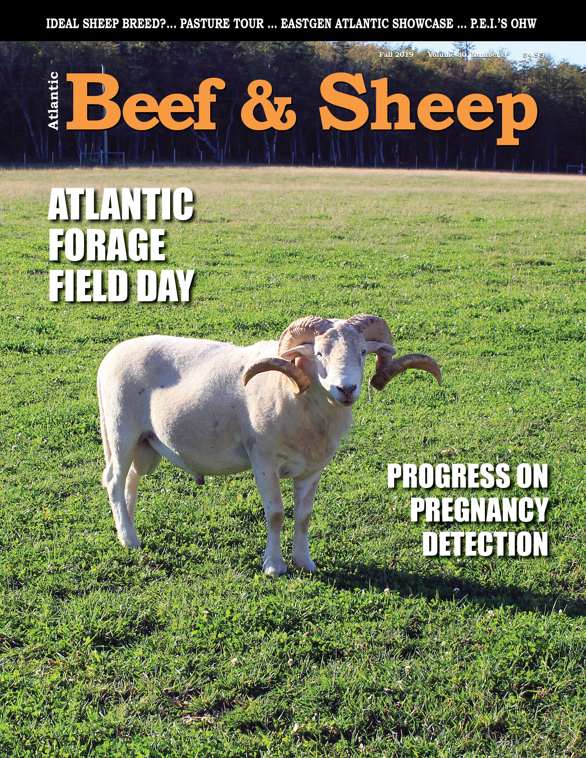 Atlantic Beef&Sheep Fall 2019.jpg