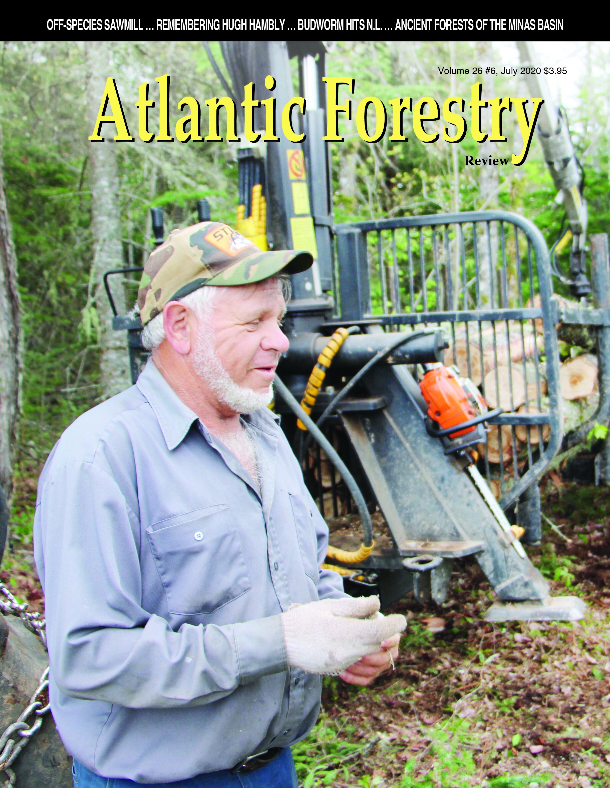 AtlanticForestry.jpg