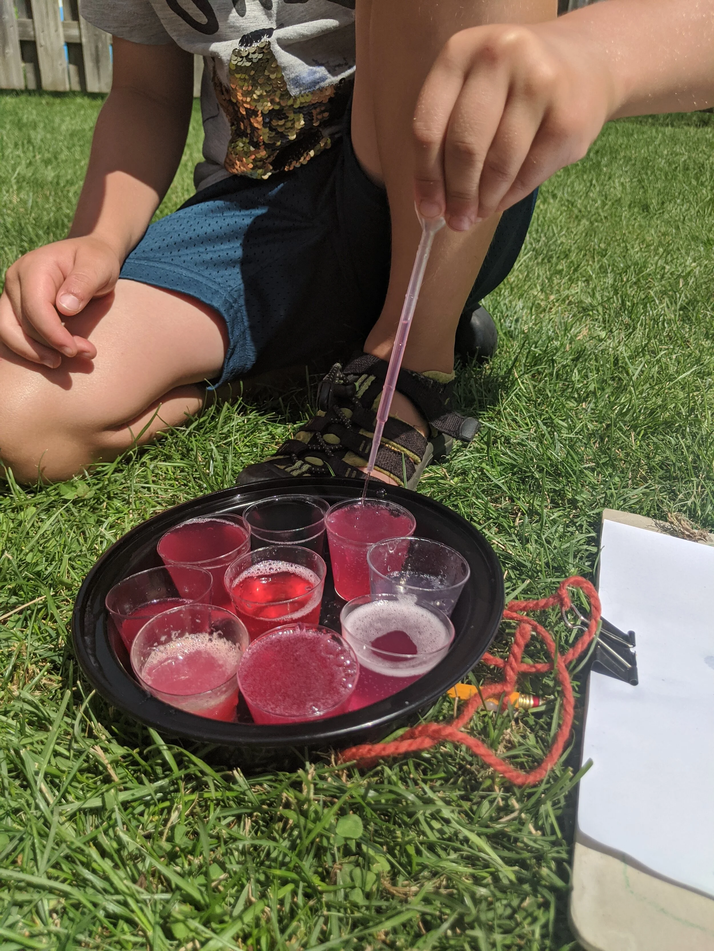 Summer Science And Art Camp For Kids Action Potential Lab