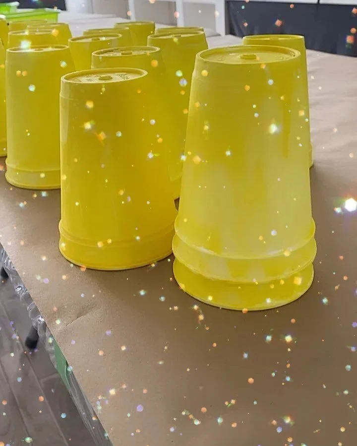 Camp prep has begun! ✨🦒🐡 ✨