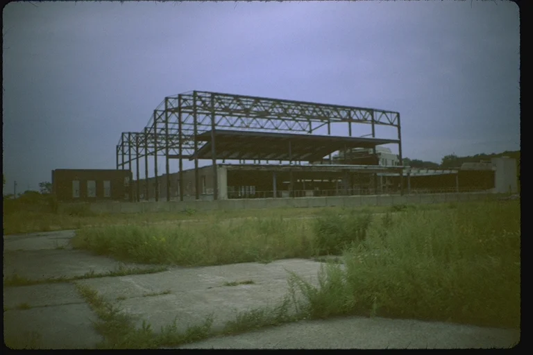 IMG0050.jpg