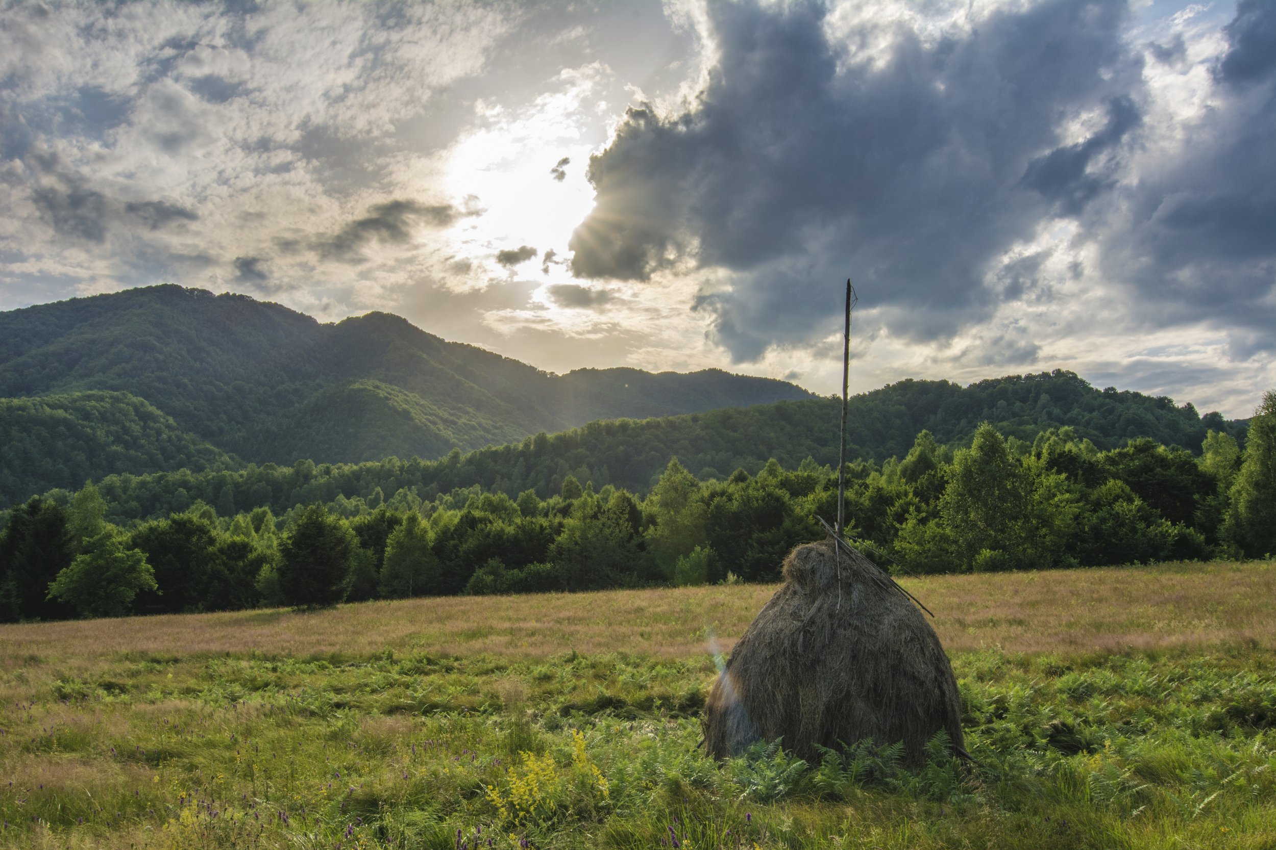 Adrian Stanica 2.jpg