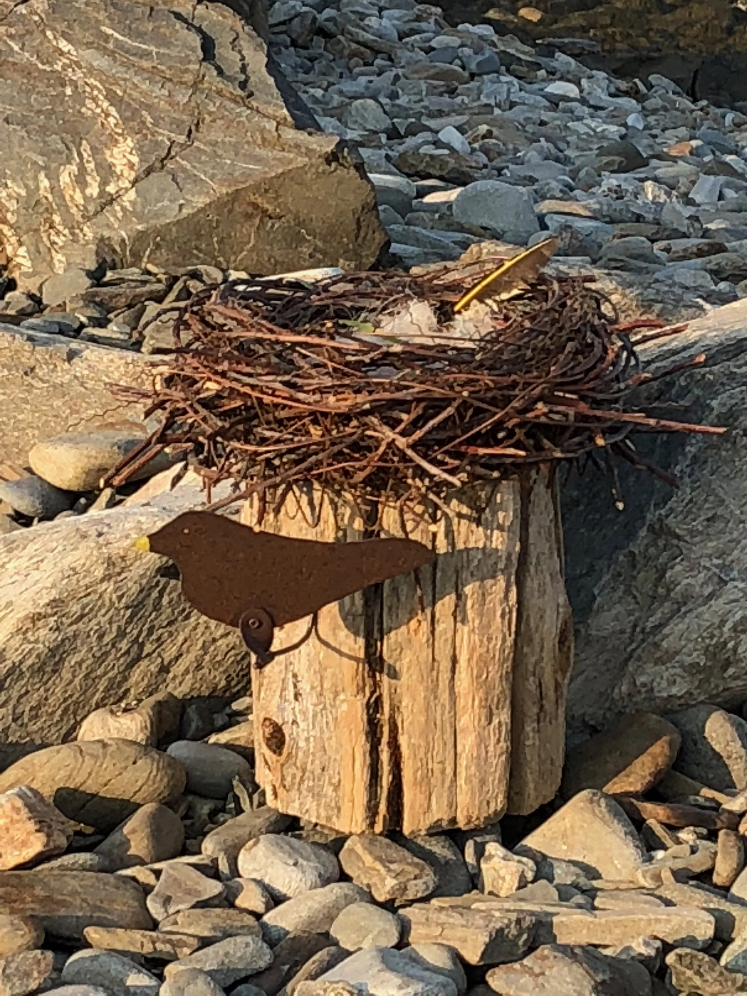 Twig and steel nest.jpg