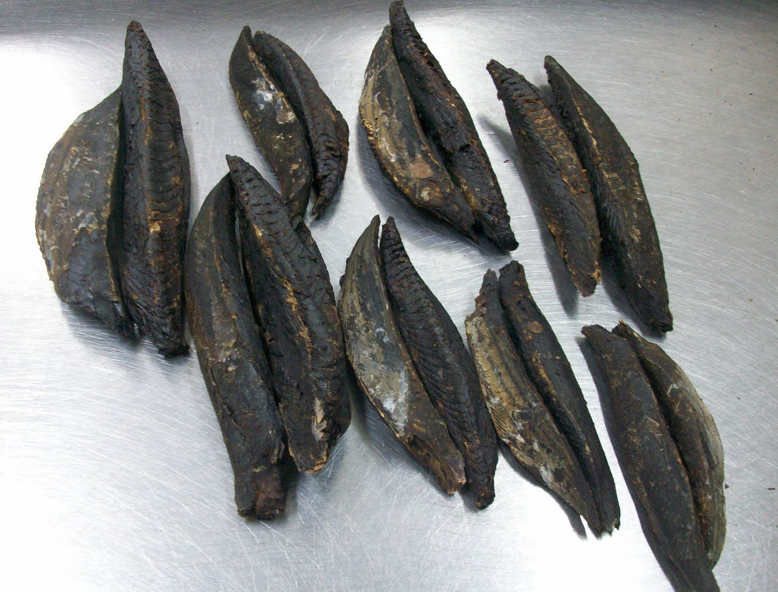 Dried Bonito/Skipjack Tuna (Katsuobushi)