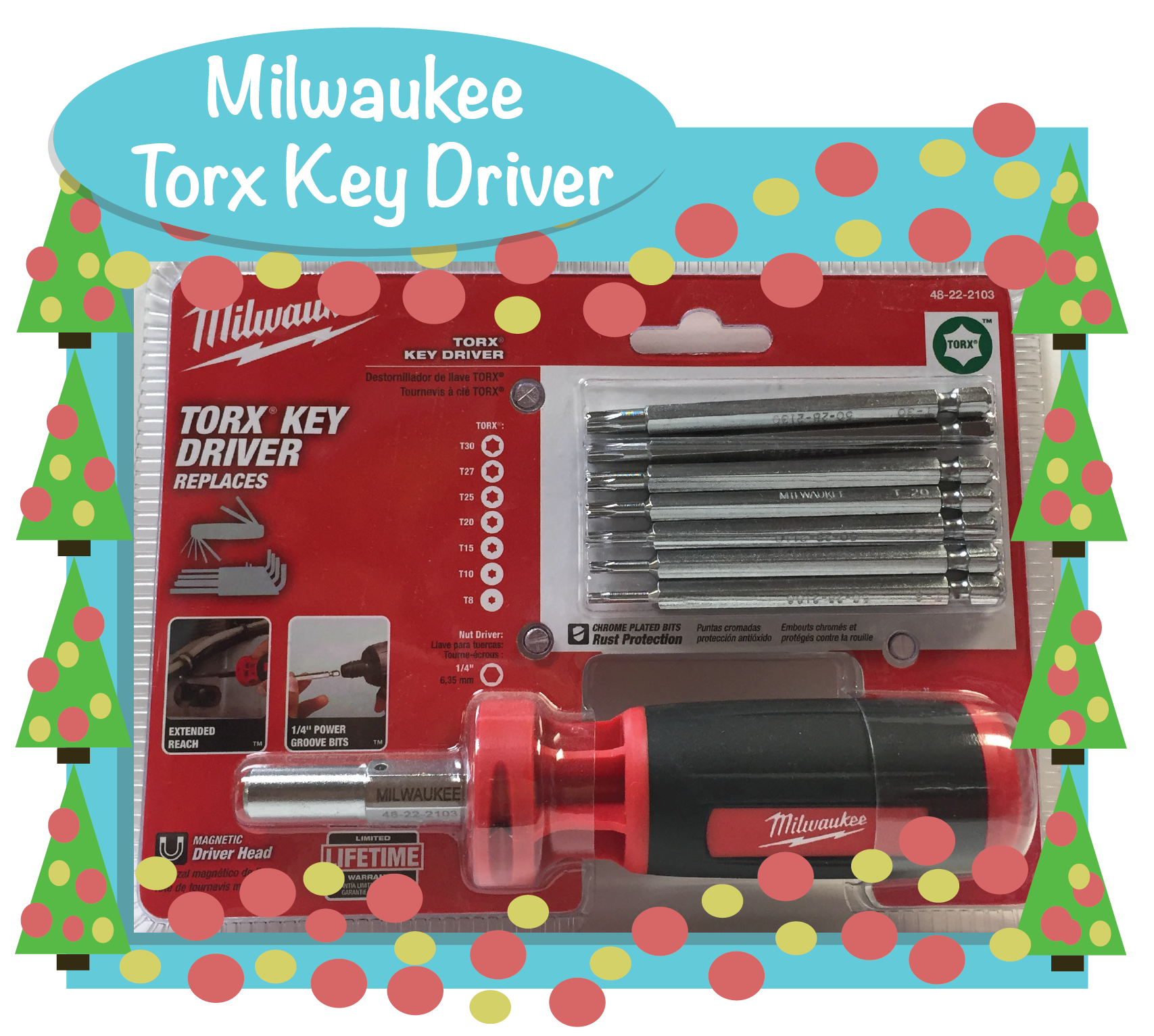 Milwaukee offers a Torx Key Driver! Part Number: 48-22-2103