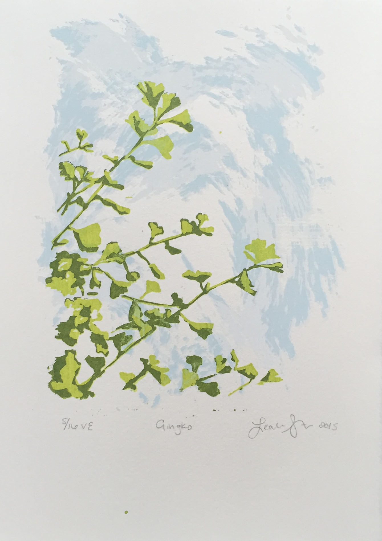 Gingko