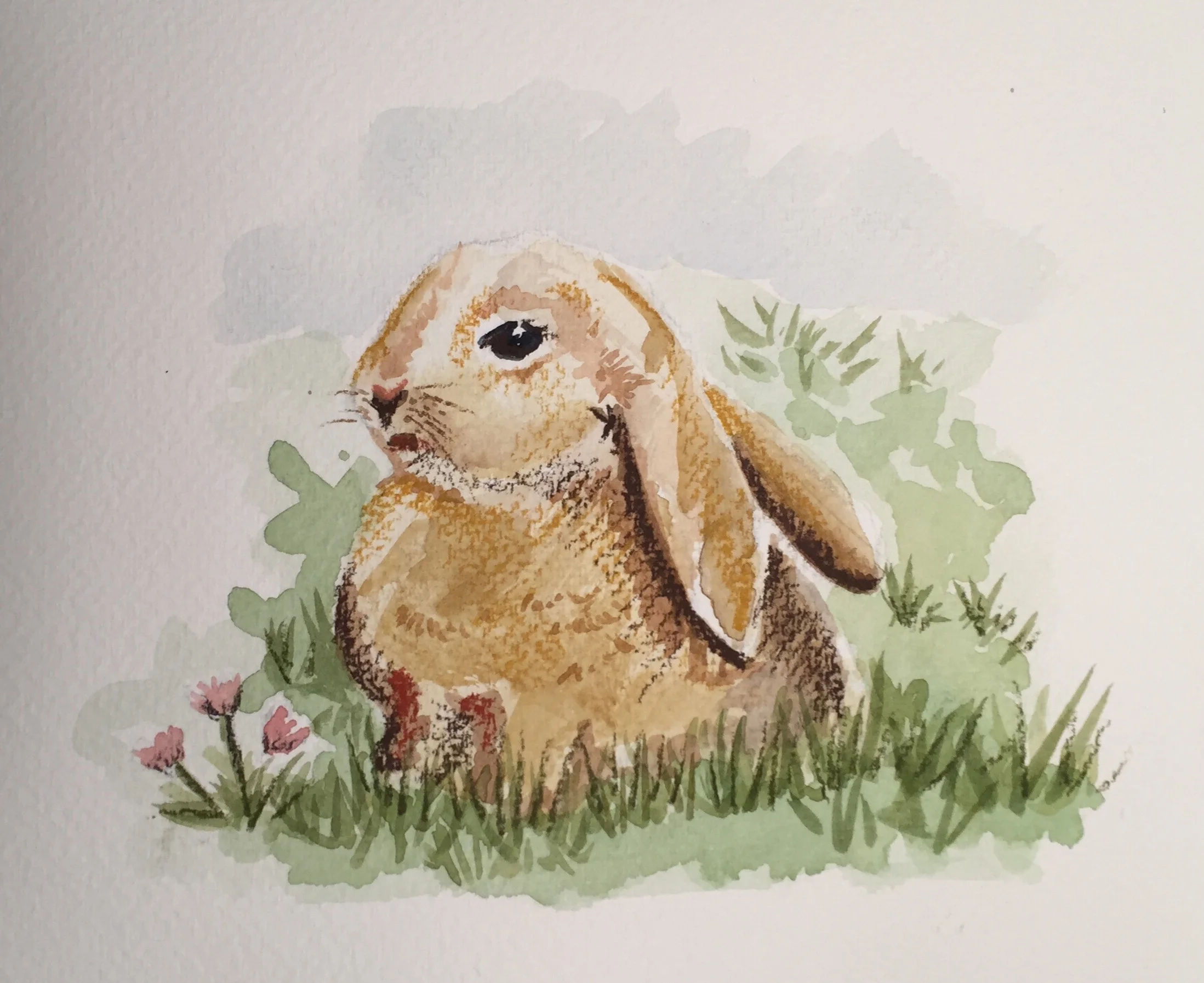 Bunny in Field
