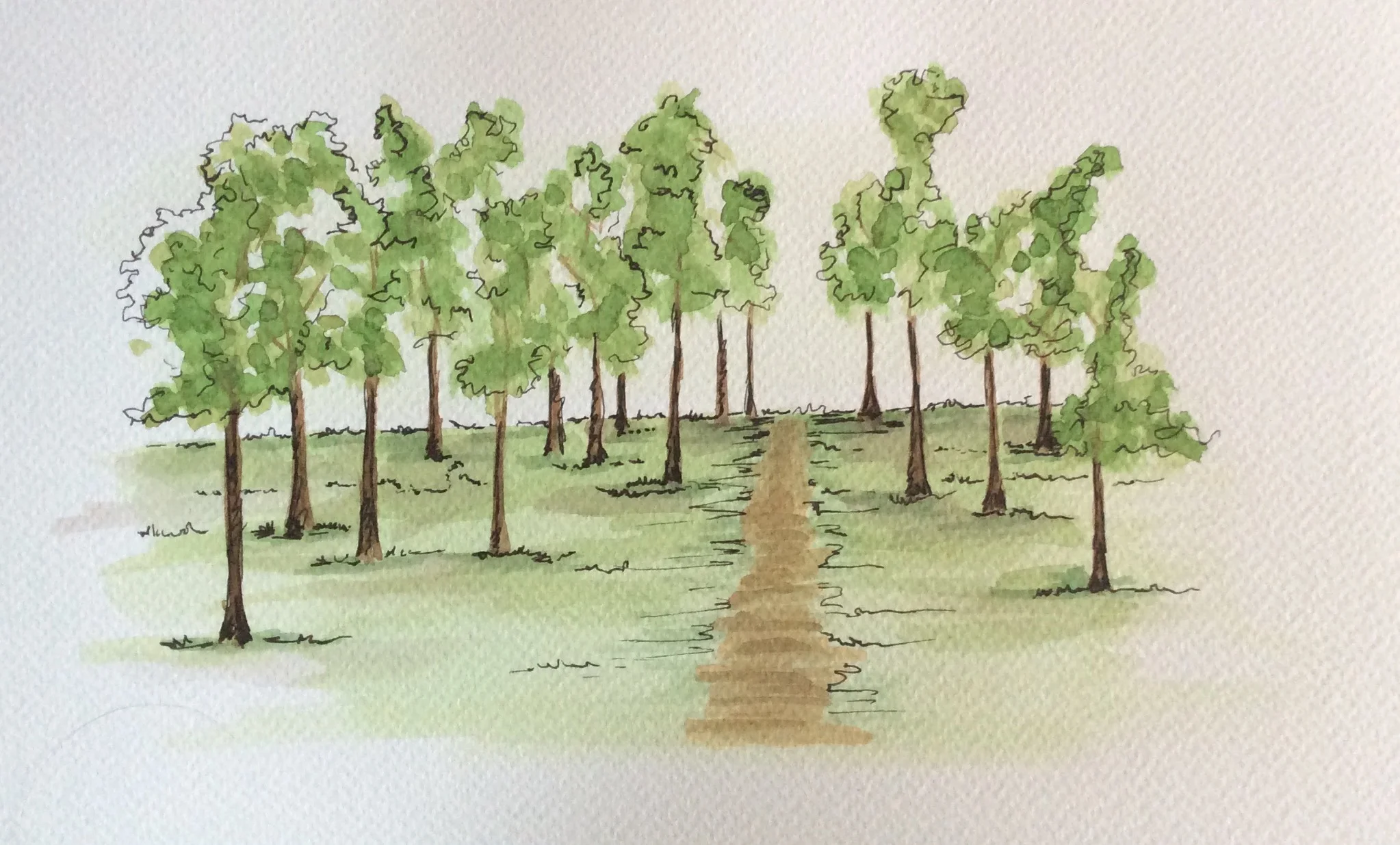 Forest