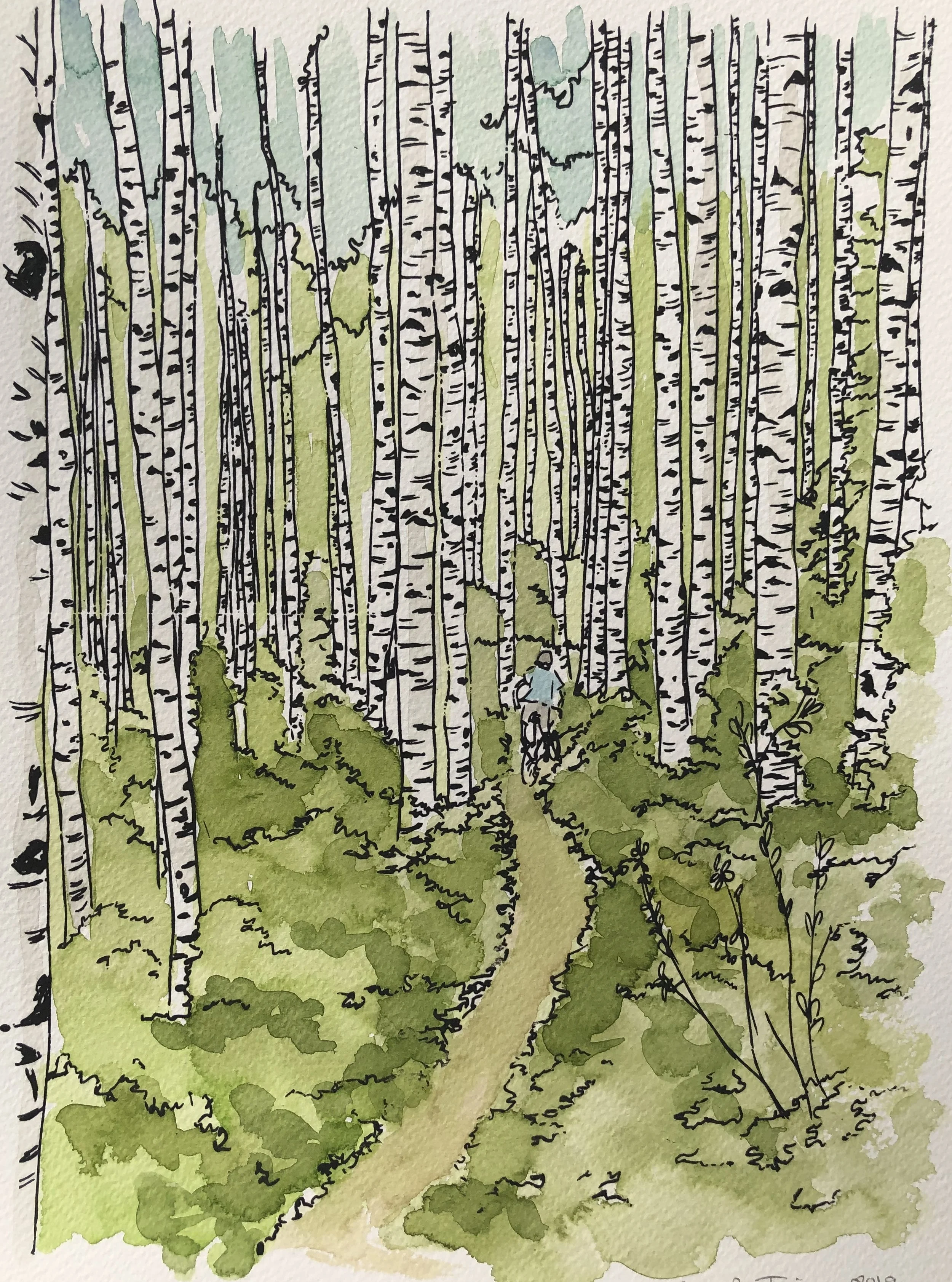 Birch Path Watercolor