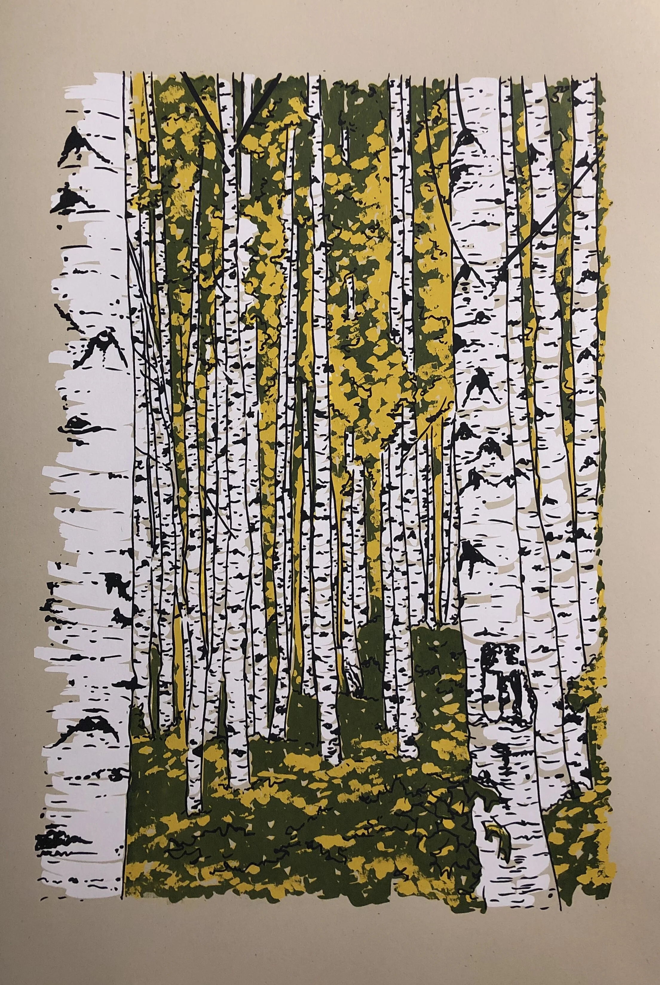 Birch Forest