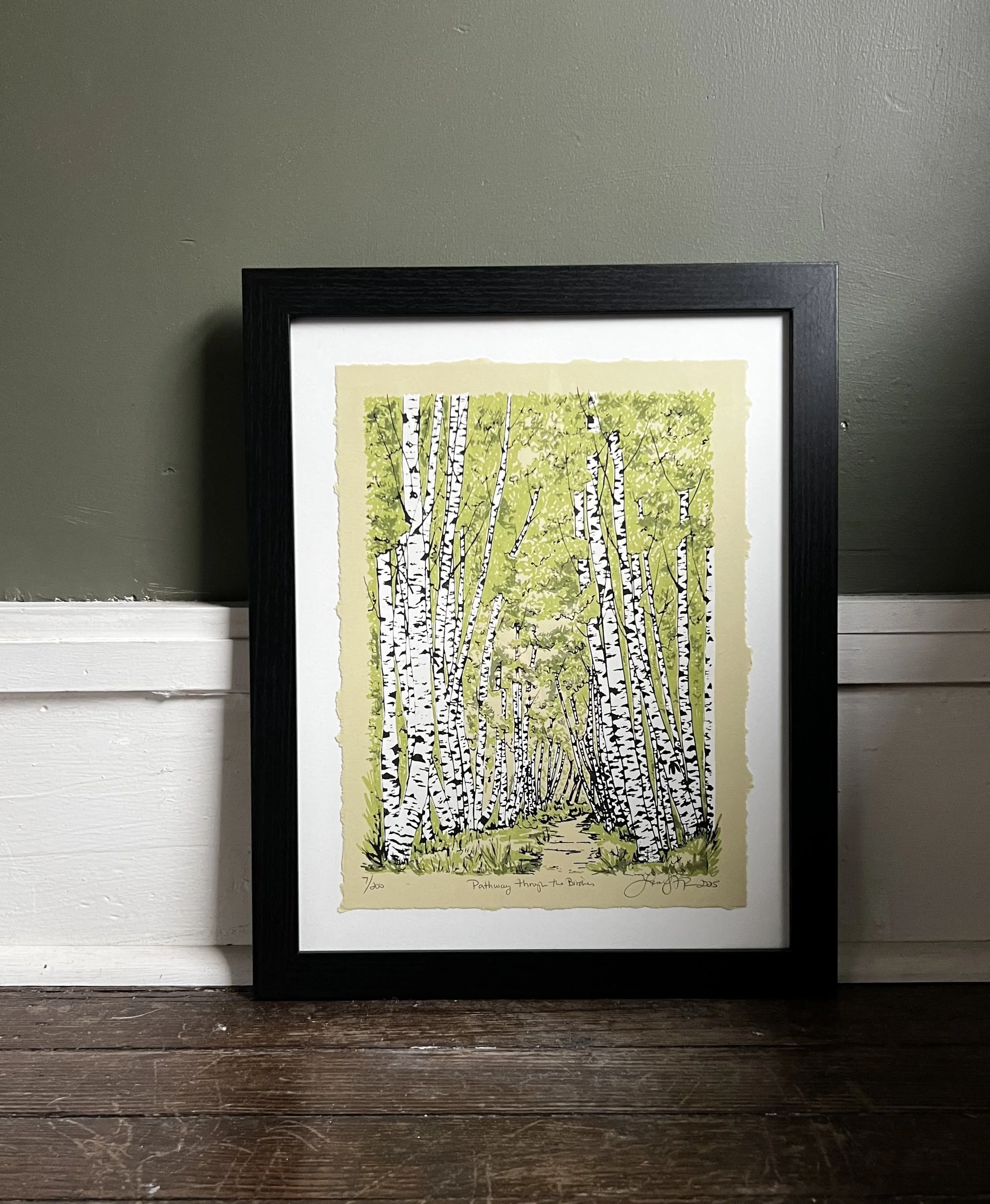 Pathway trough the Birches