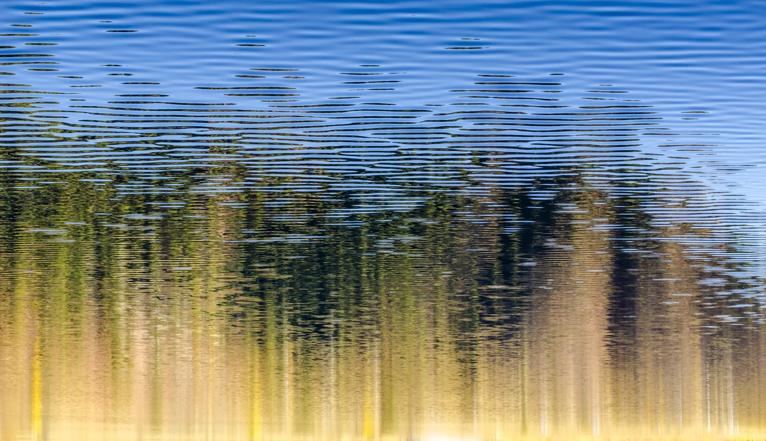 Reflect-7.jpg