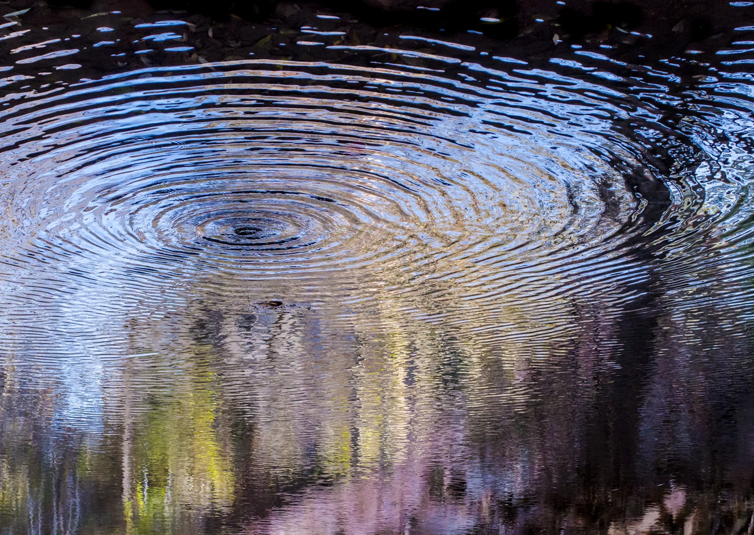 Reflect-8.jpg