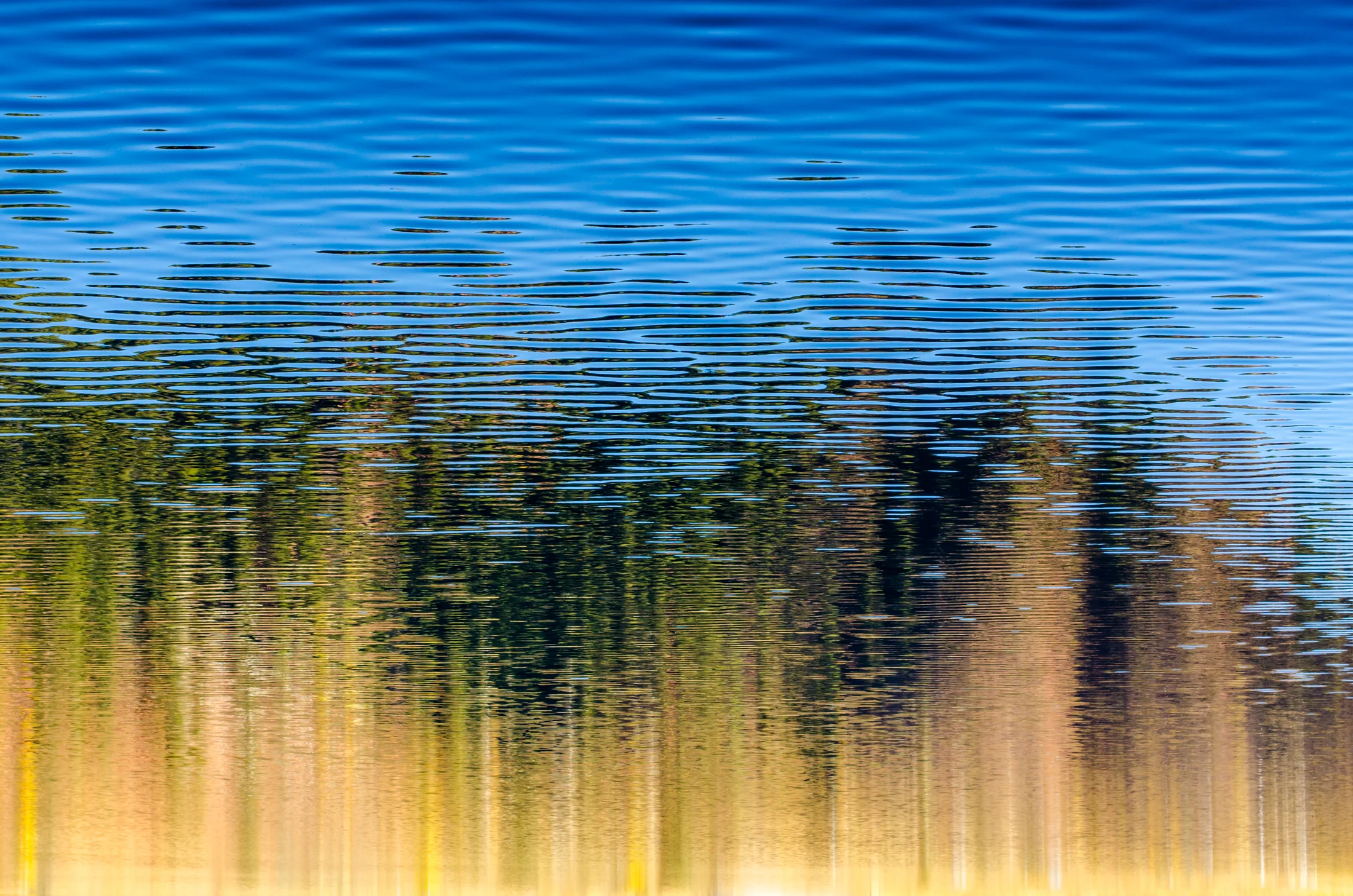 Impressions2017-1.jpg
