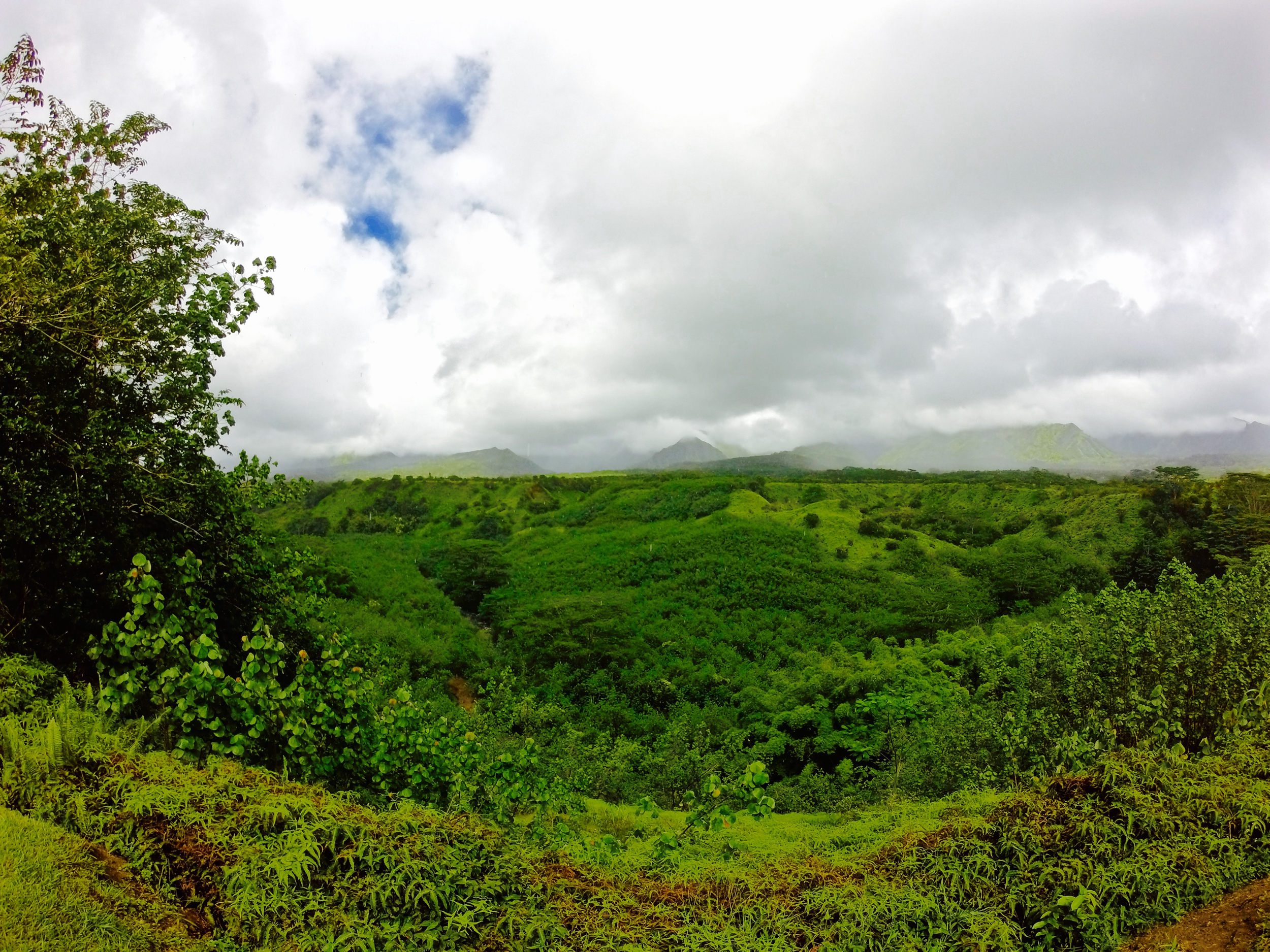 Wailua River State Park