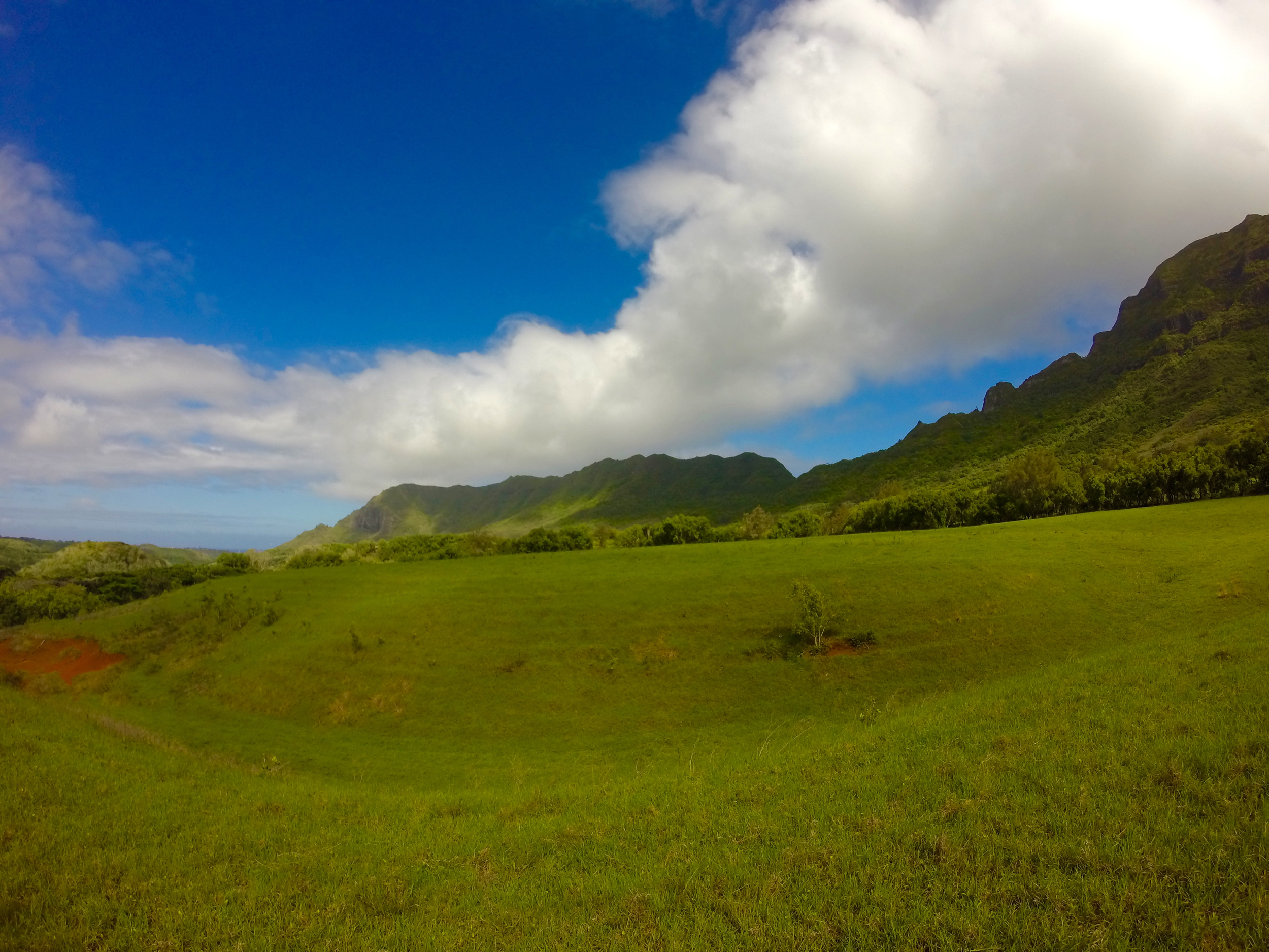Kipu Ranch