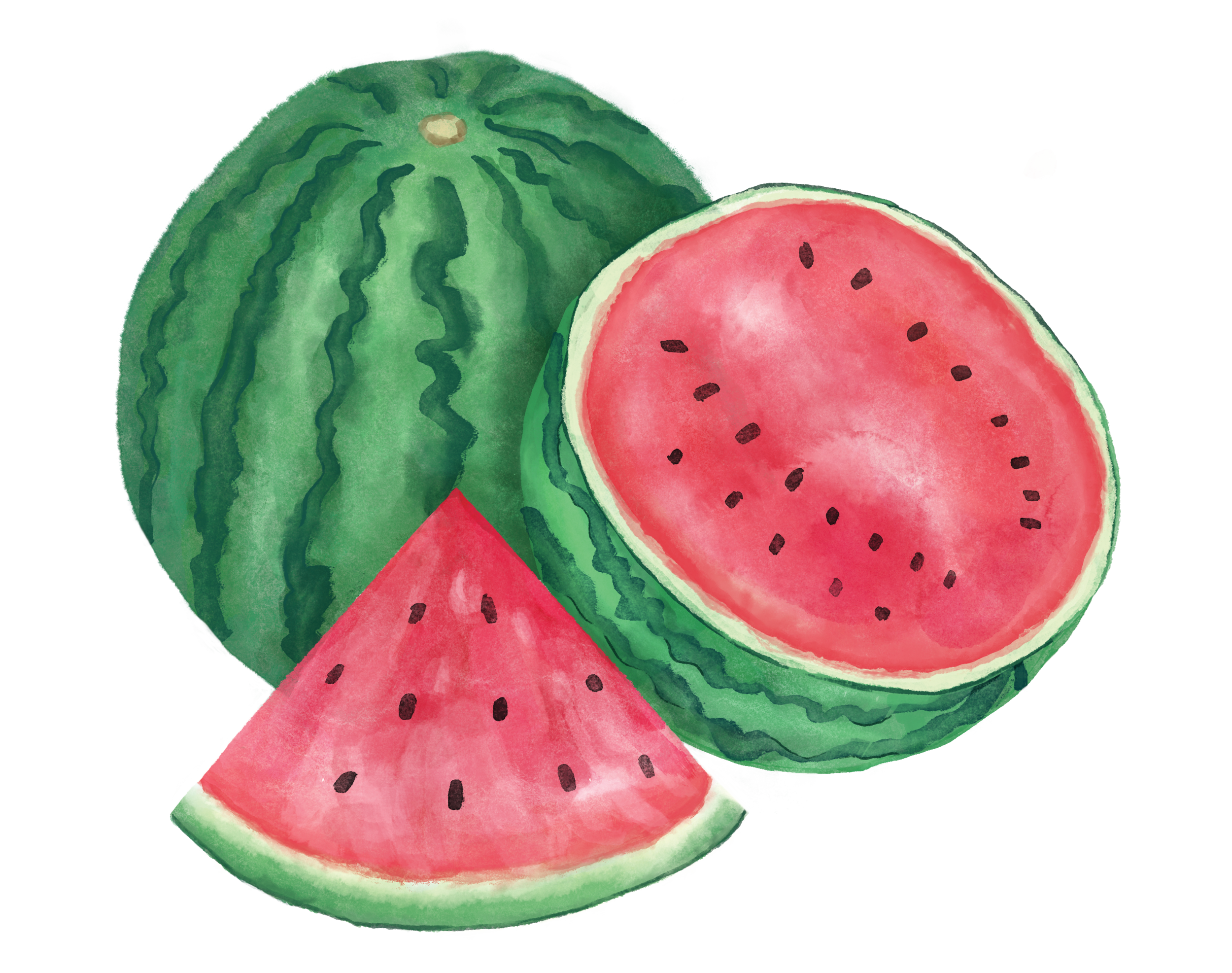 Watermelon_Final.png