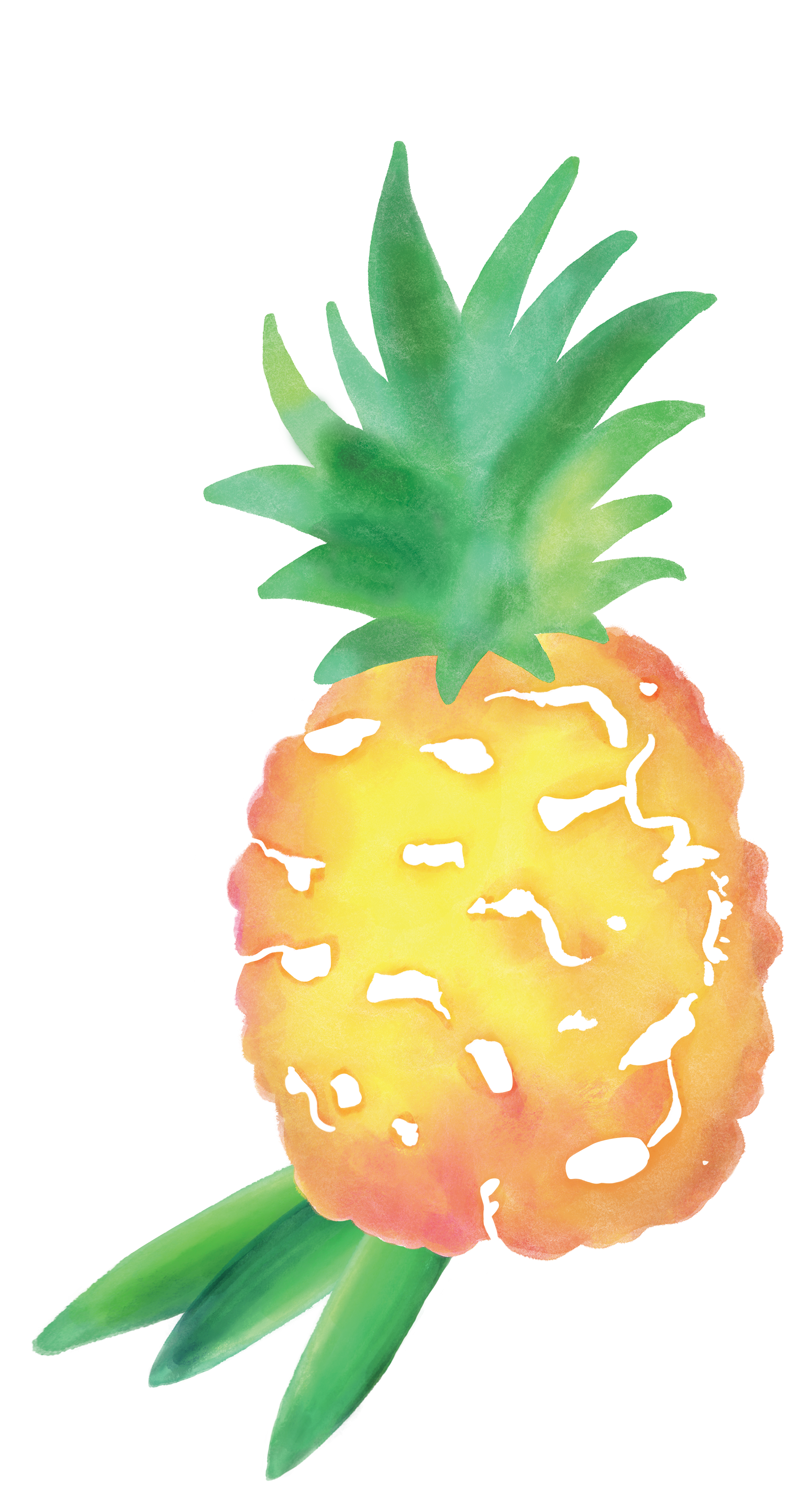 Pineapple_Final.png