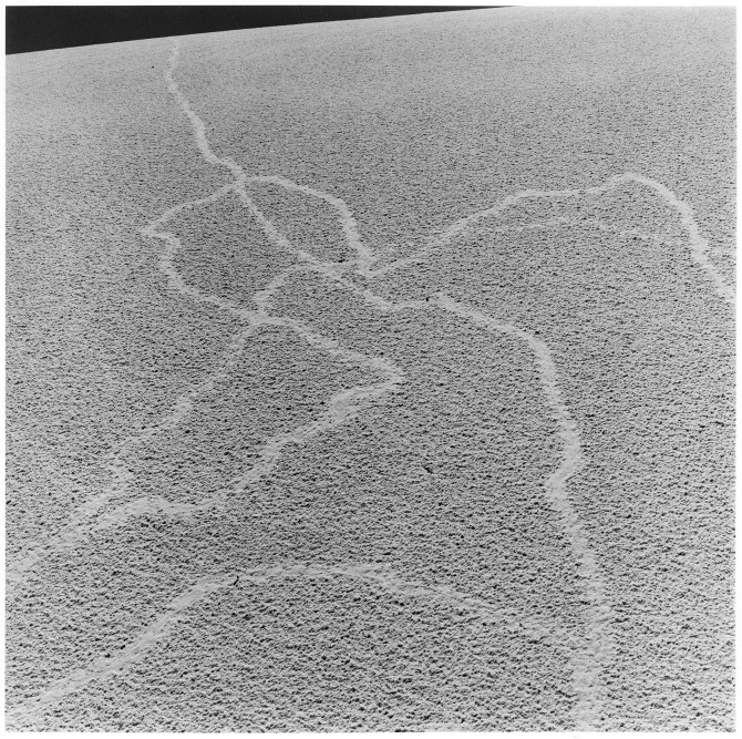 White Sands Missile Range, NM.