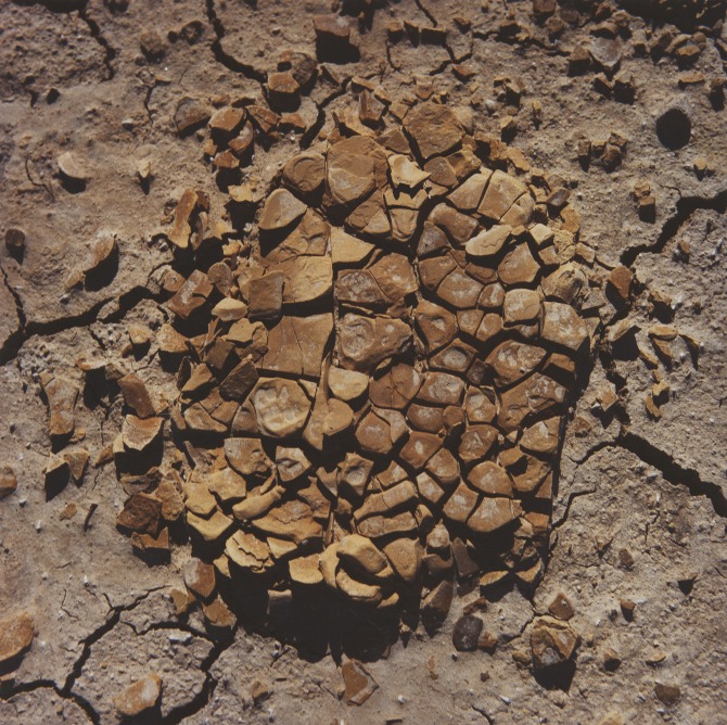 Salton Sea, CA.