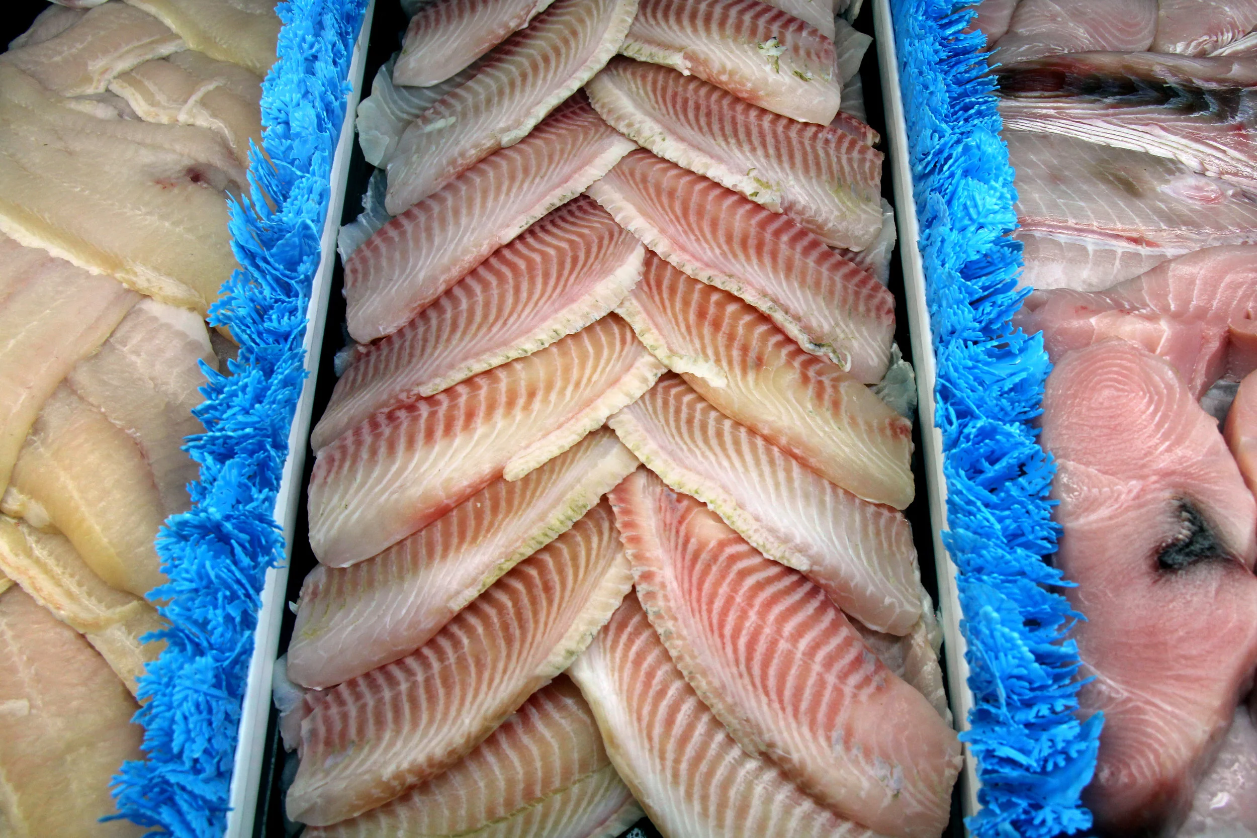 Frozen Tilapia, Long Beach