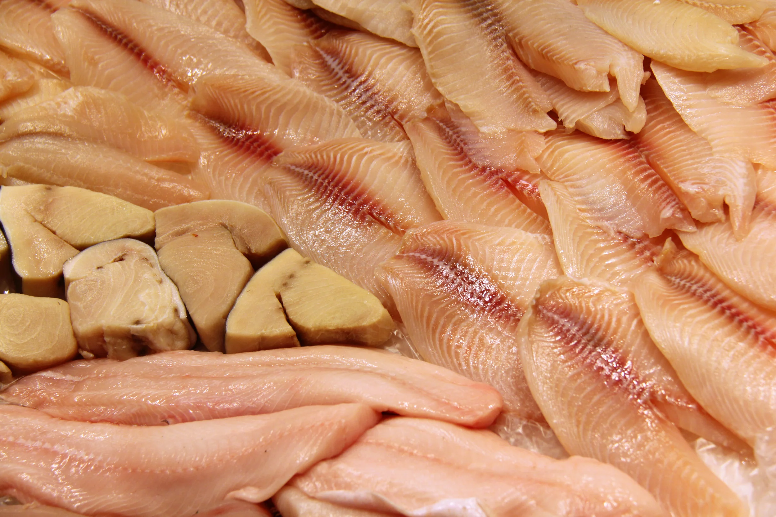 Fillets, San Diego