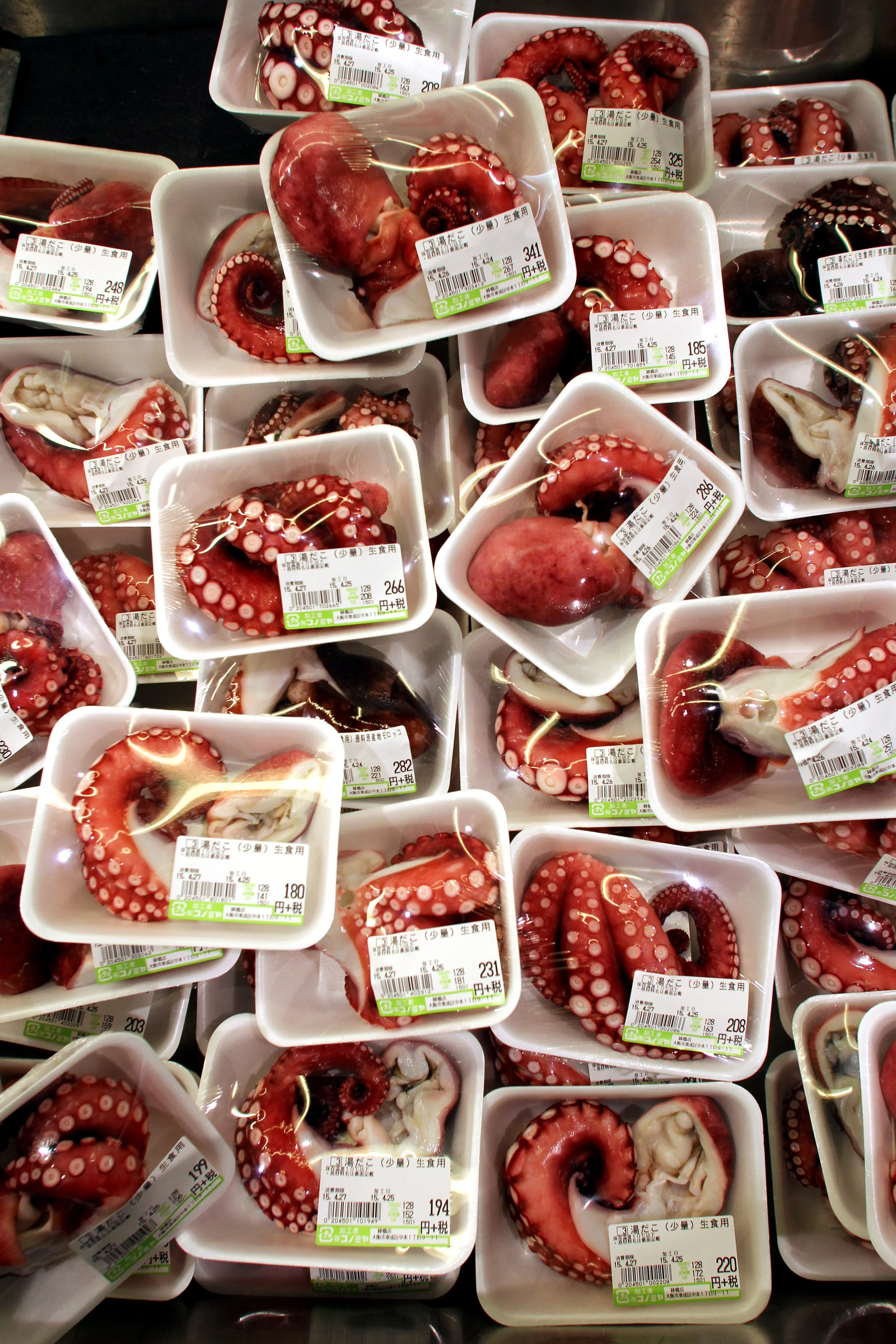 Tako. Tokyo