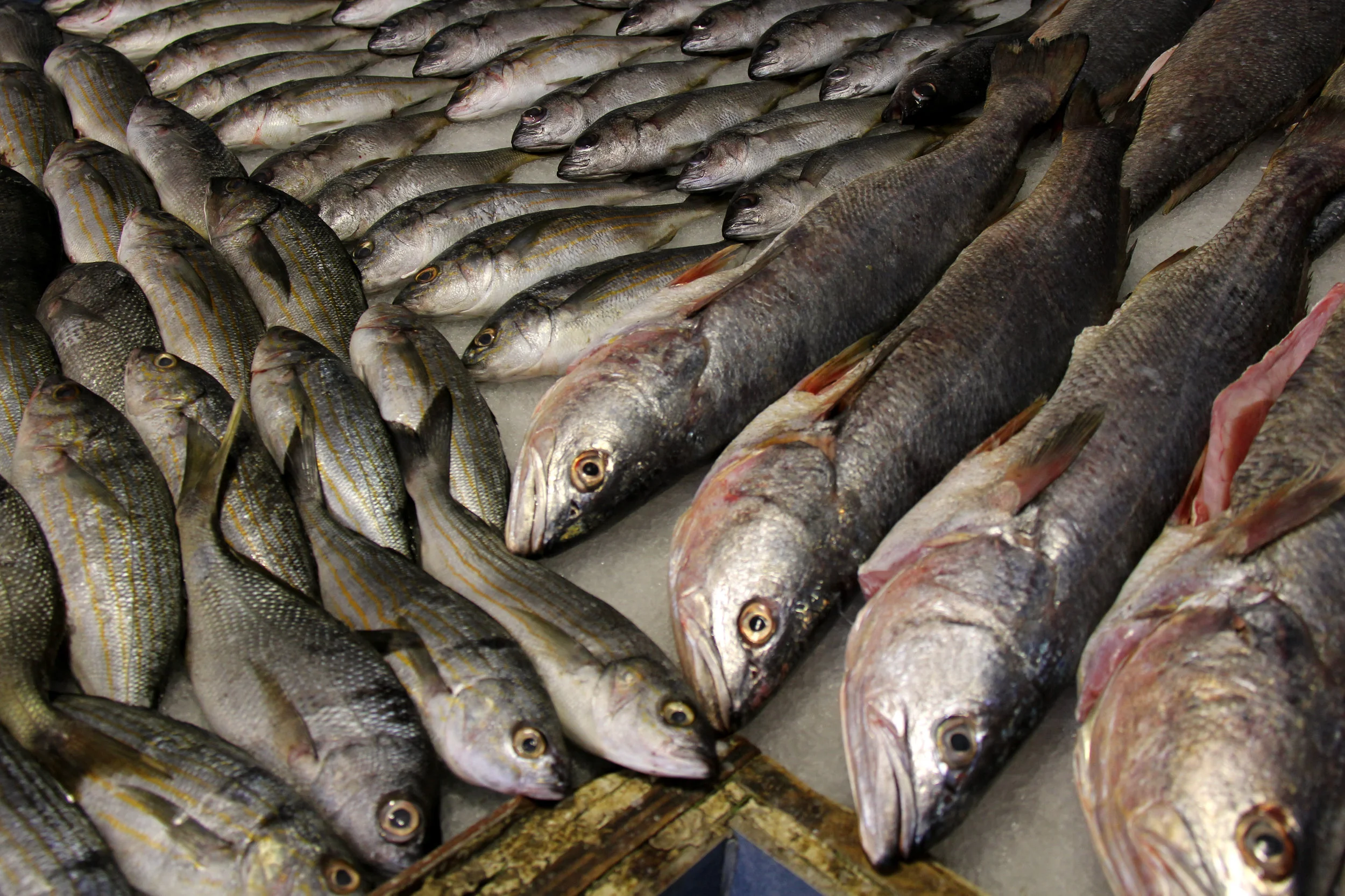 Ensenada, Baja California