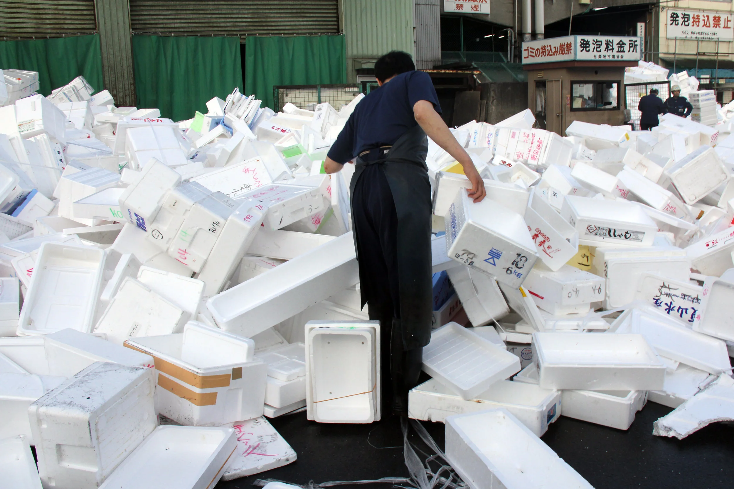 Out back, Tsukiji, Tokyo