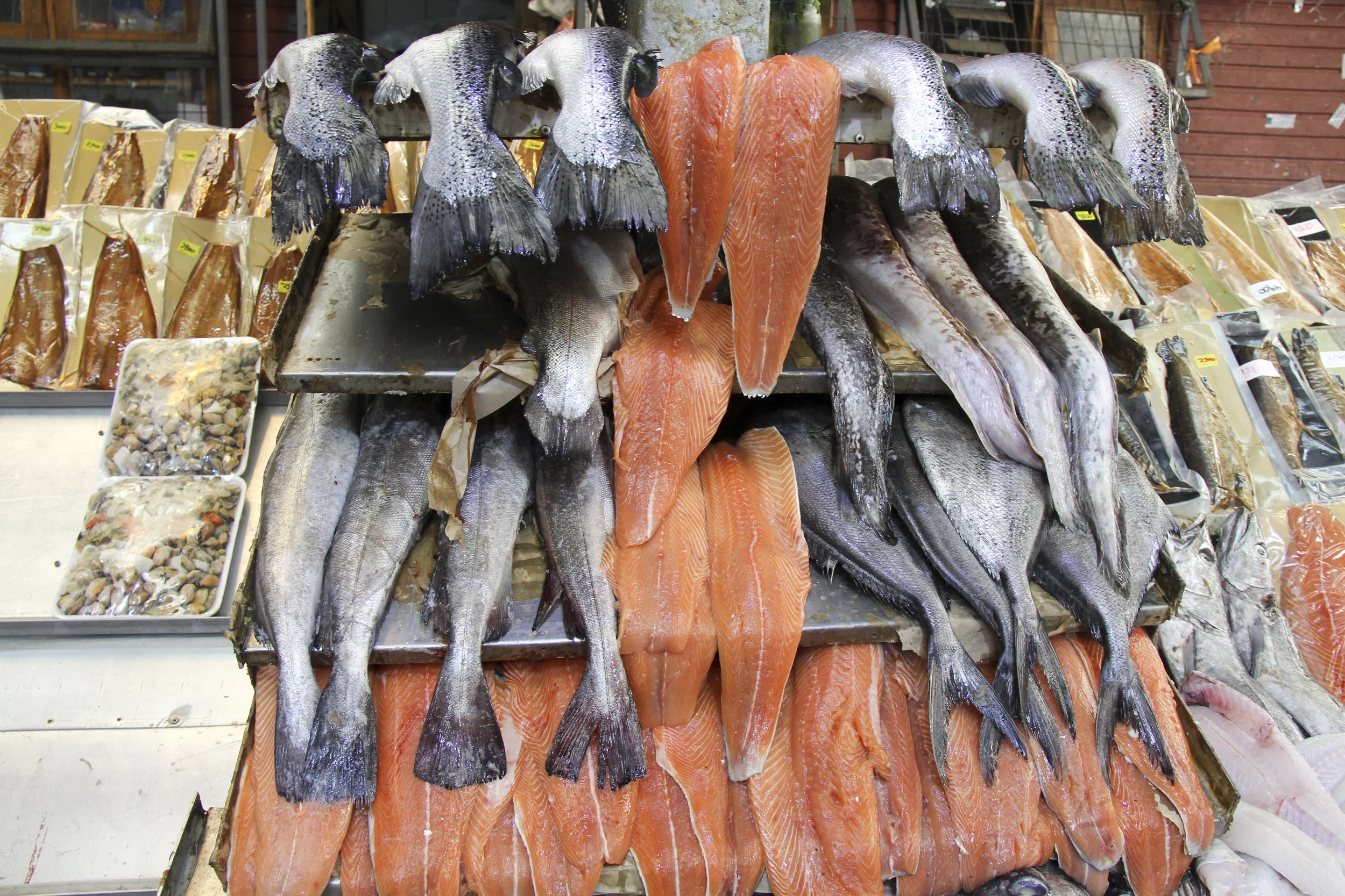Salmón. Puerto Montt, Chile