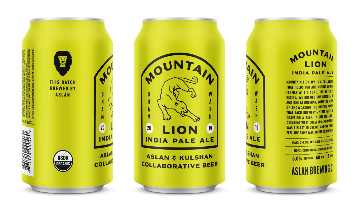 aslan-mountain-lion.jpg