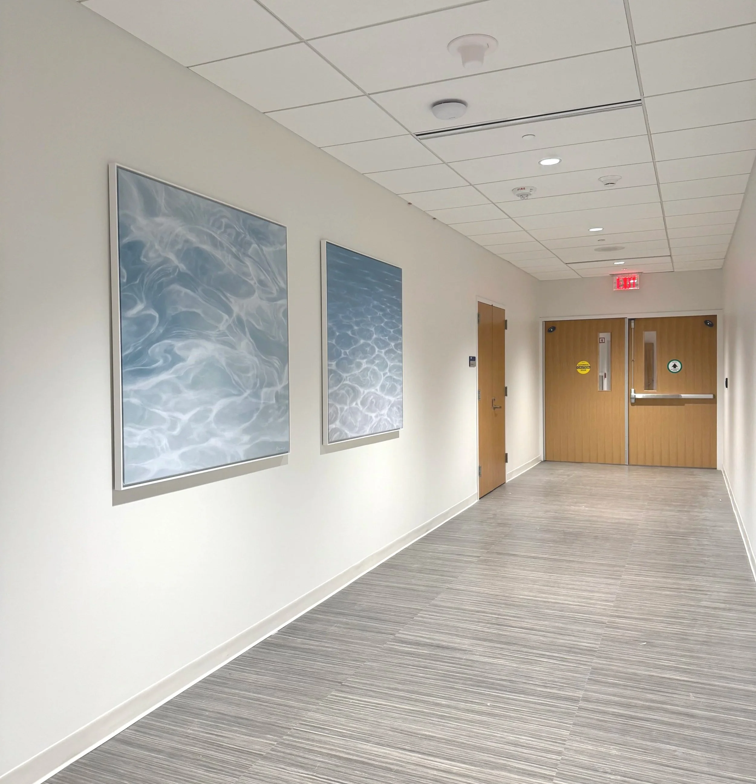 Permanent collection, Mayo Clinic Hospital Tower, Jacksonville Florida