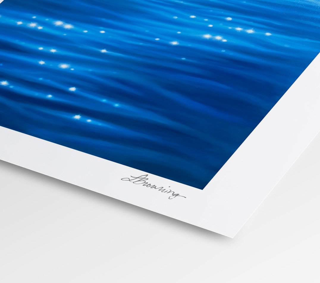 to catch the light.jpg