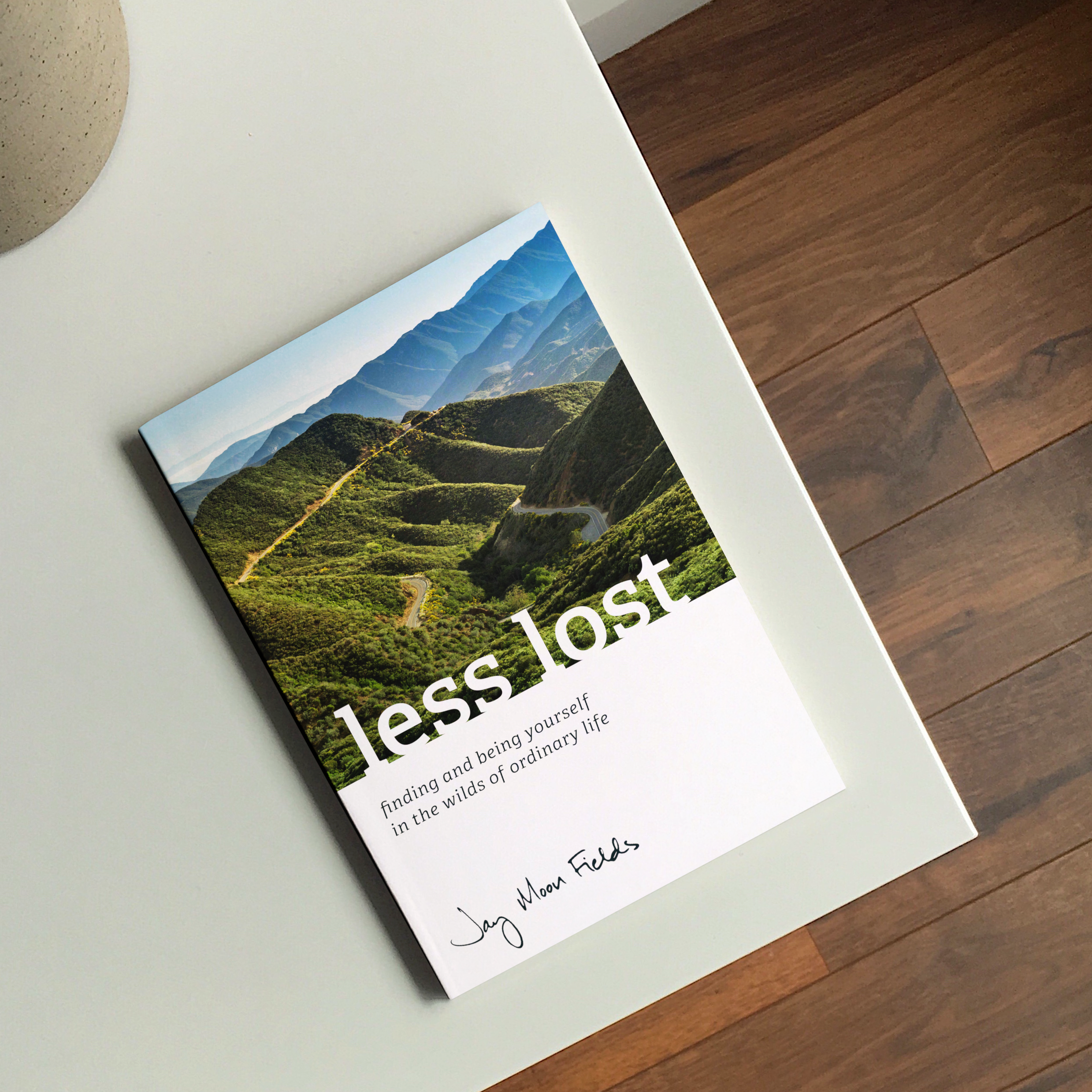 LessLost_01_sm.png